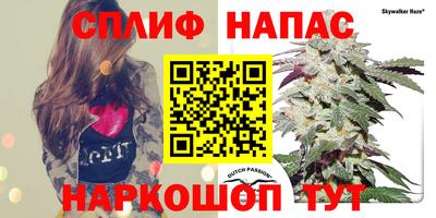 молекула духа Бузулук