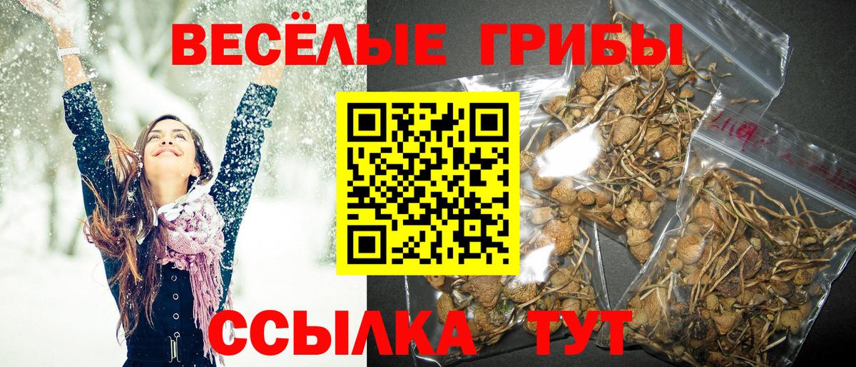 Галлюциногенные грибы мухоморы  Вход с VPN  наркотики  Светлоград 